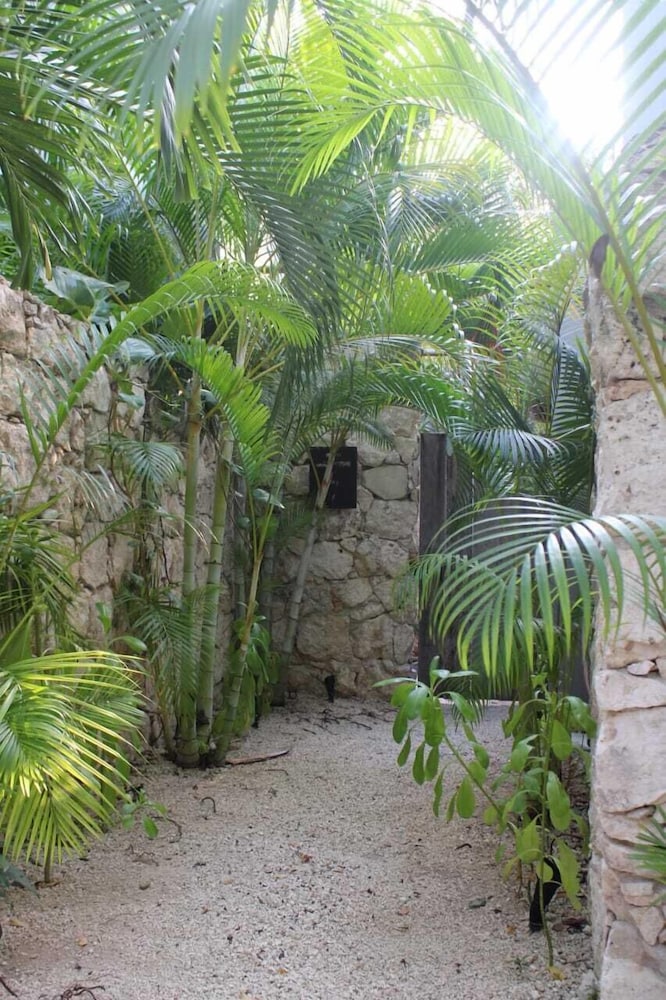 Kuun Taak Tulum 46/50