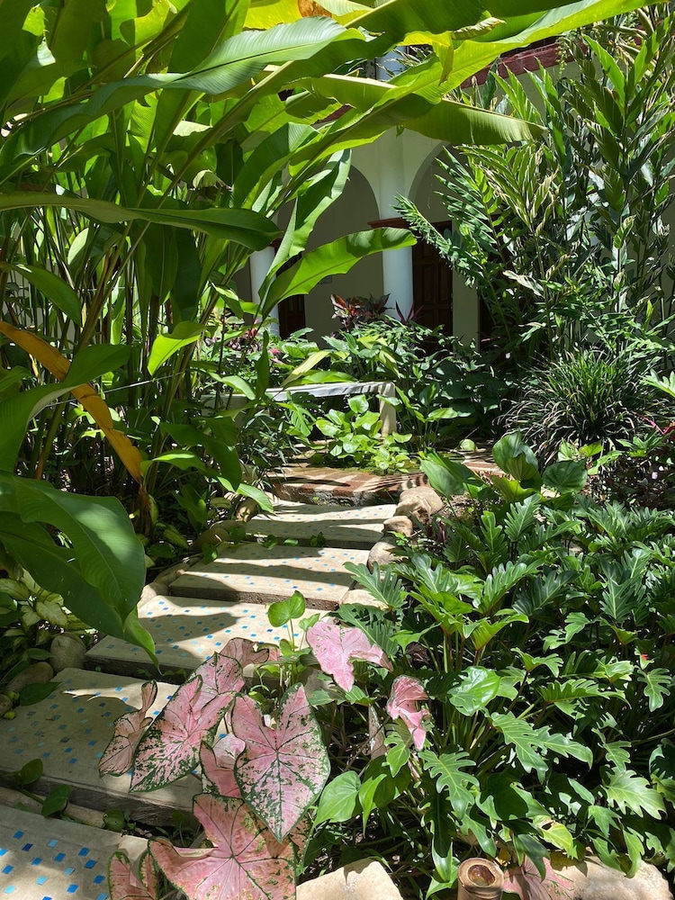 La Ceiba Hotel Spa And Restaurant 51/61