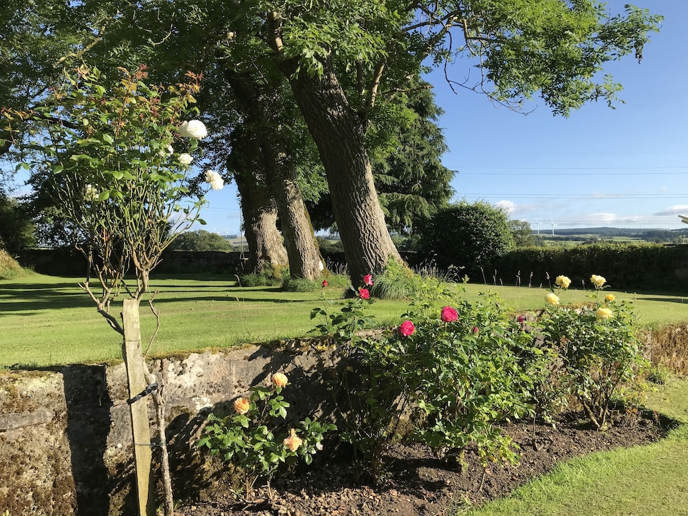 South Craighall Bed & Breakfast 41/50