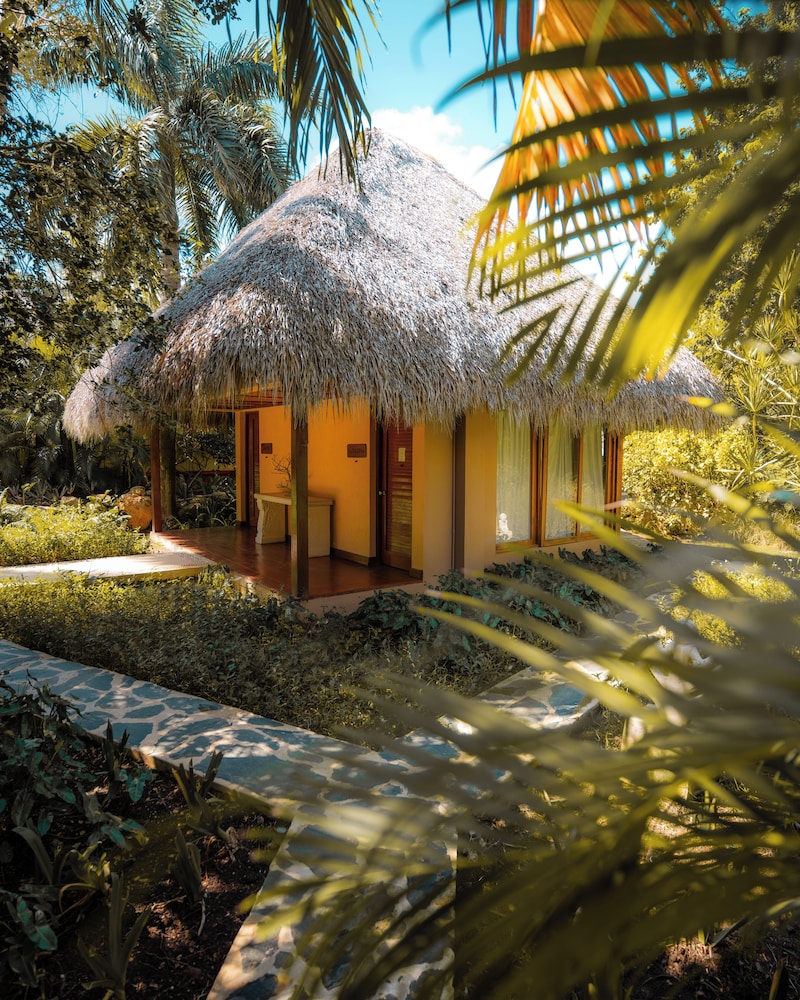 Zoetry Agua Punta Cana Hotel 25/50