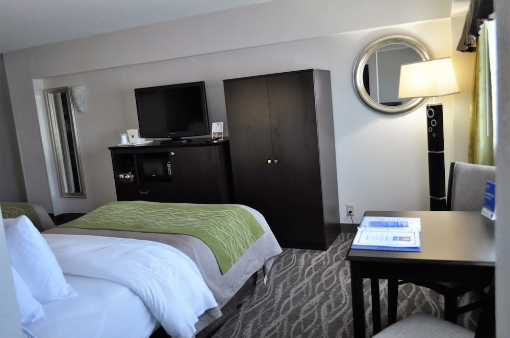 Comfort Inn Downtown Charleston 19/35