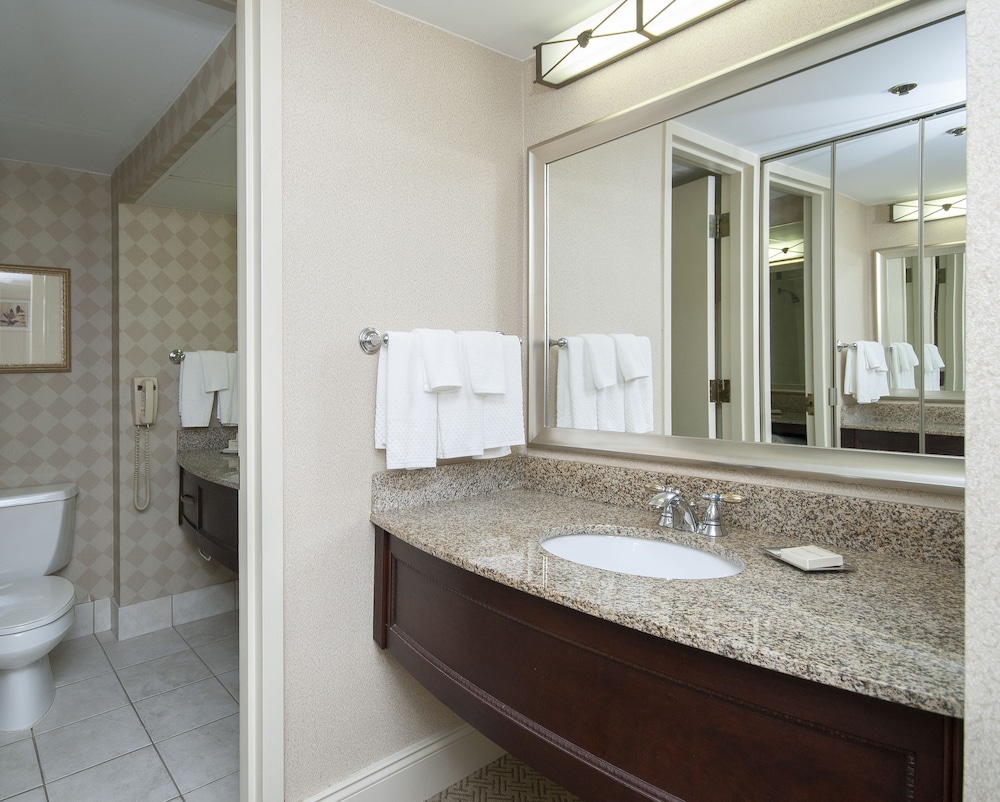 Hilton Greenville Hotel 14/69