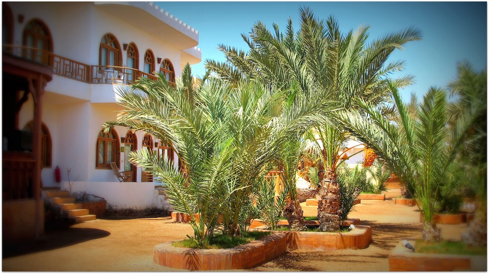 Shams Hotel &amp; Dive Centre 20/34