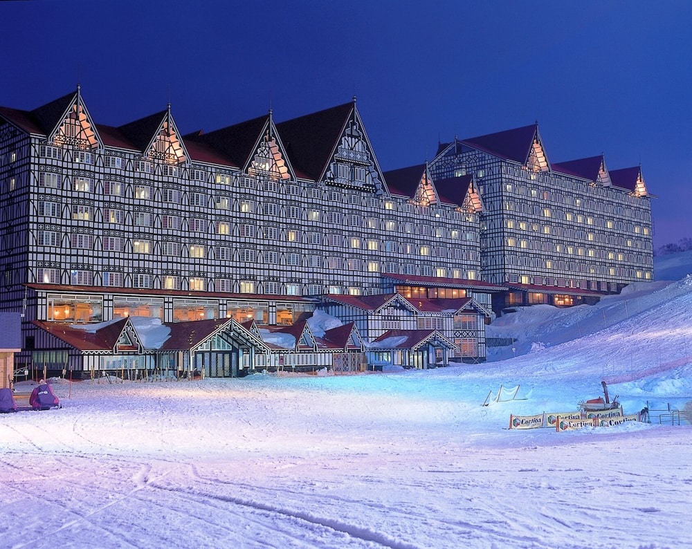 Hotel Green Plaza Hakuba 6/50