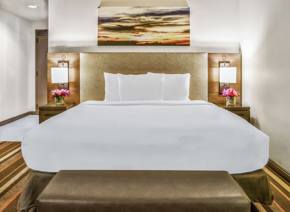 Park, City, King Bed, Accessible