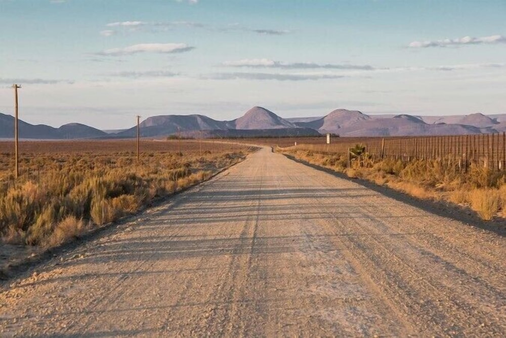 A-1 Njalo-Njalo Safari 29/43