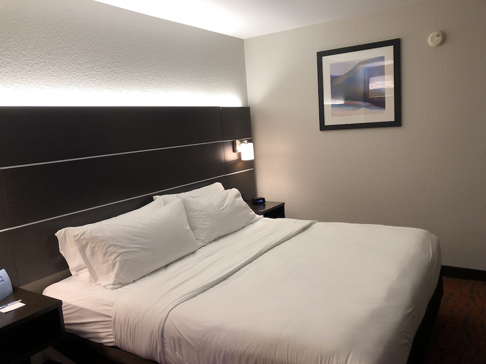 Holiday Inn Express Metropolis 9/43