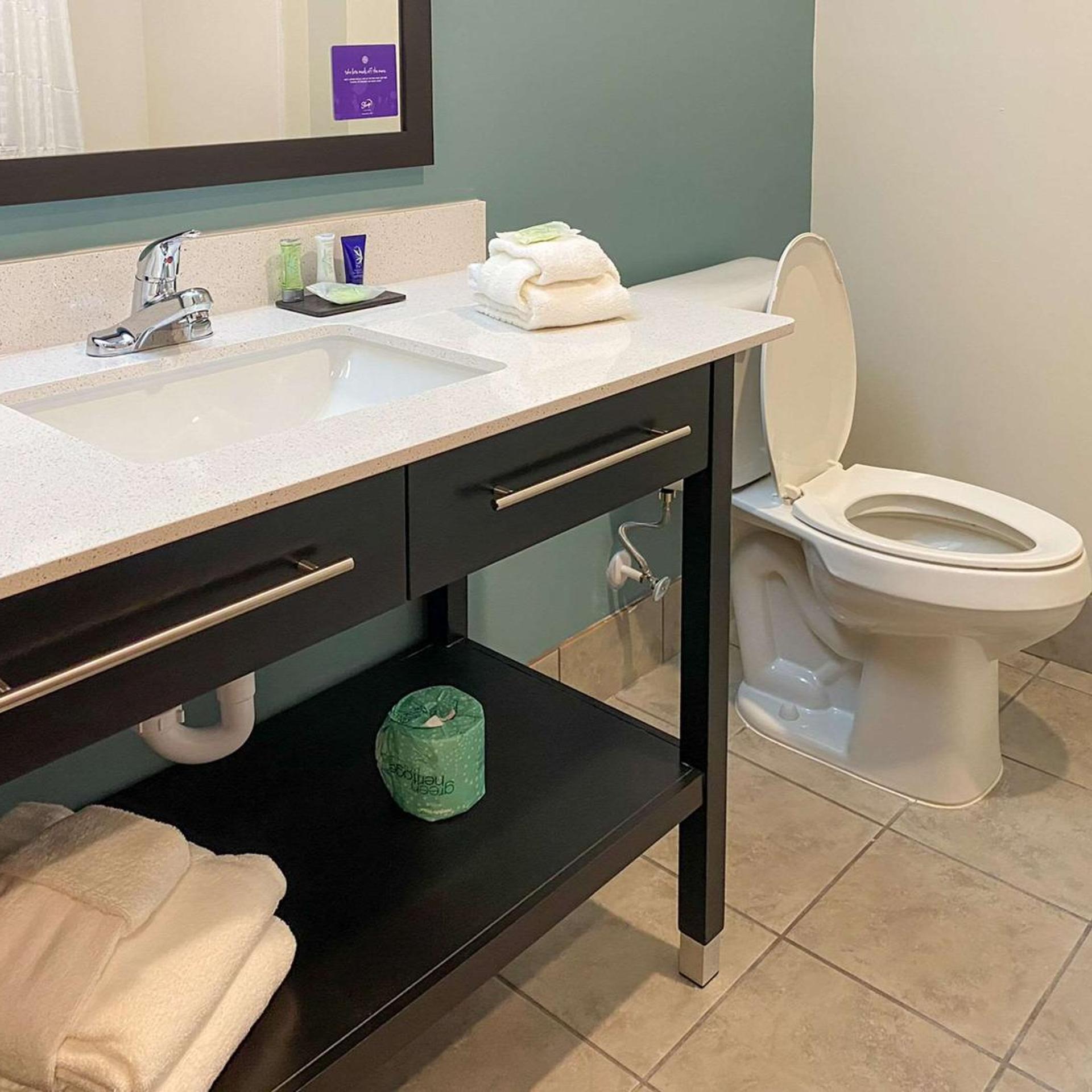 Sleep Inn and Suites Coliseum Area 21/22