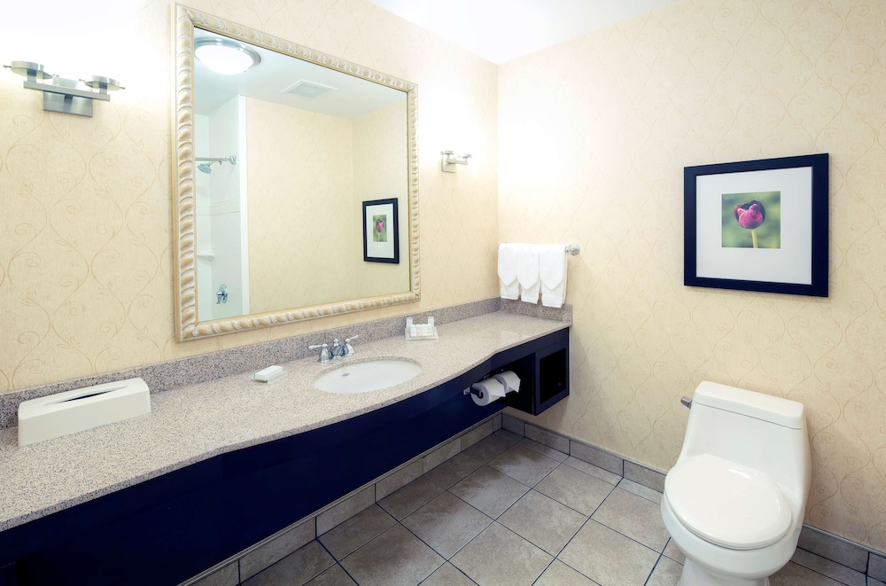 Hilton Garden Inn Ottawa Airport 23/86