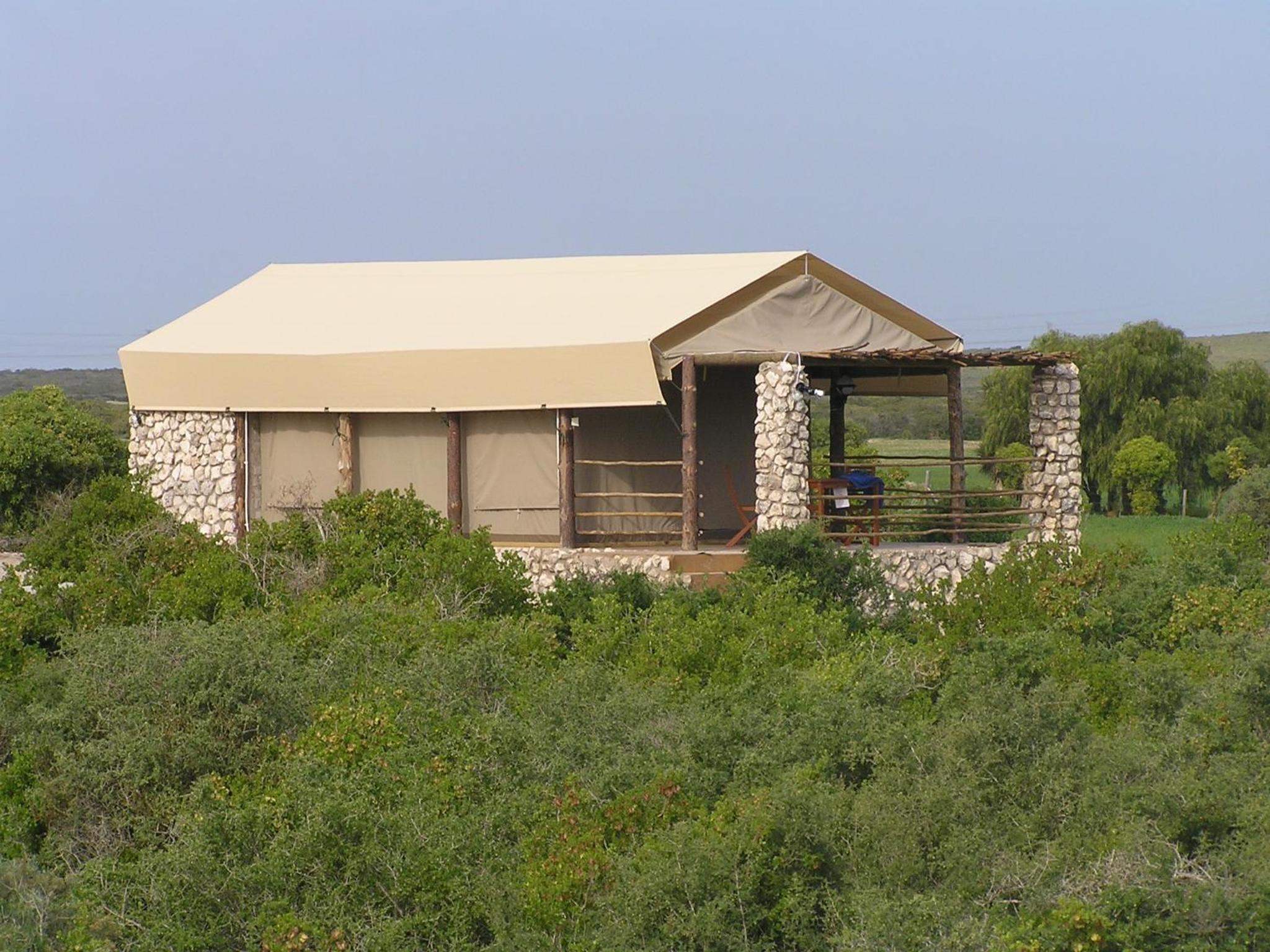 Thali Thali Game Lodge 46/50