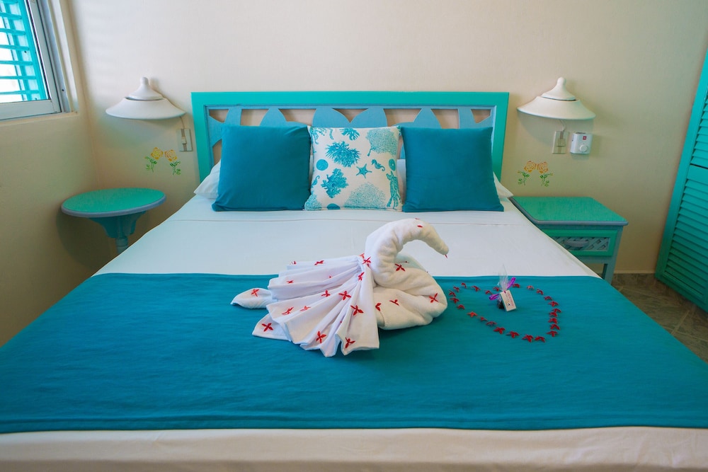 Hotel Playa Colibri 21/72