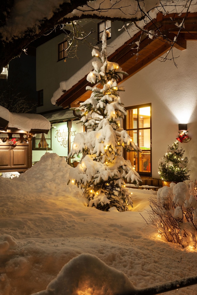 Hotel Hachinger Hof 5/50