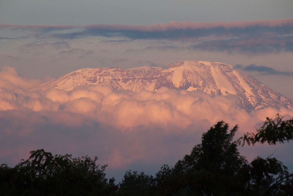 Ngare Sero Mountain Lodge 37/52