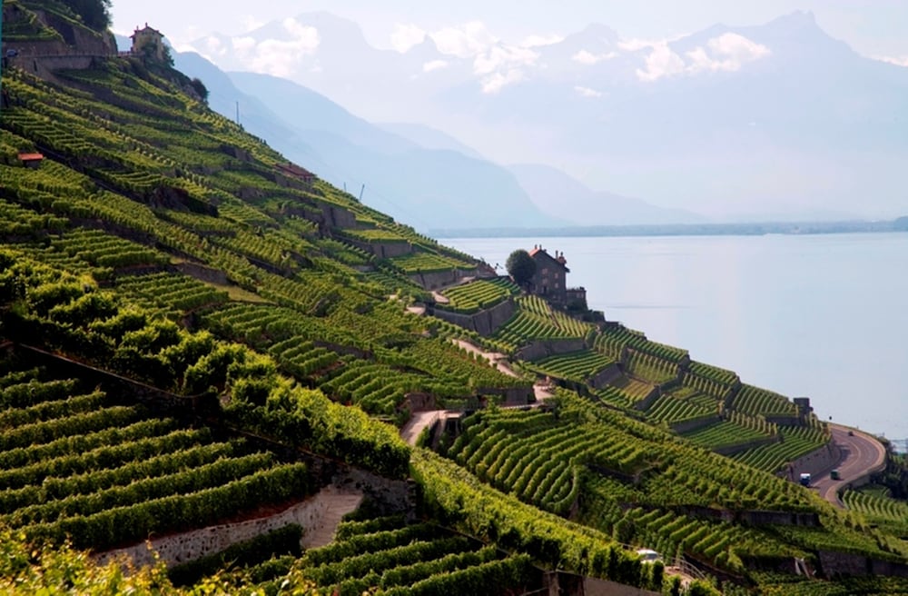 Hotel Lavaux 56/65