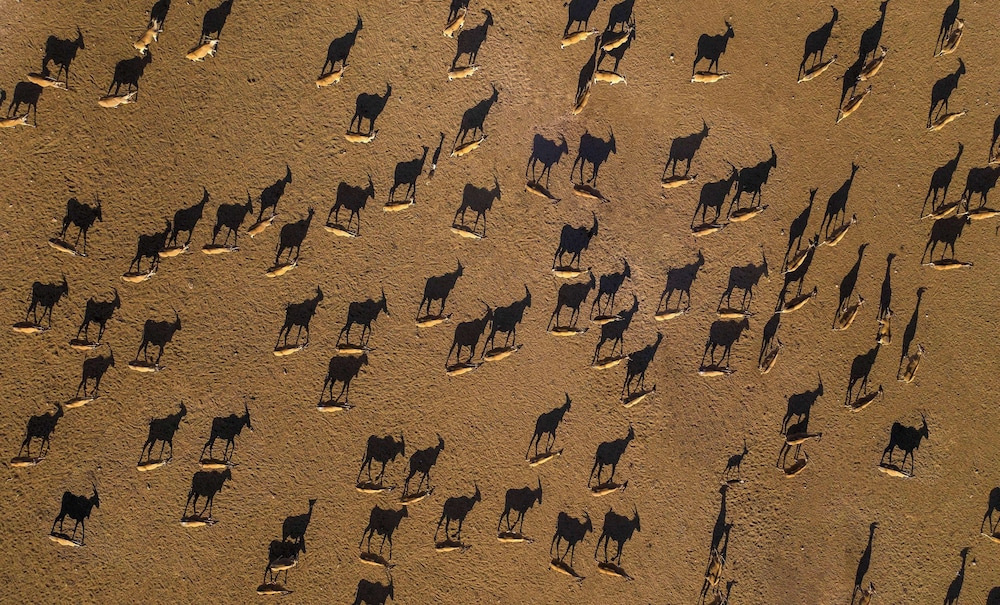 Anantara Sir Bani Yas Island Al Yamm Villa Resort 47/49