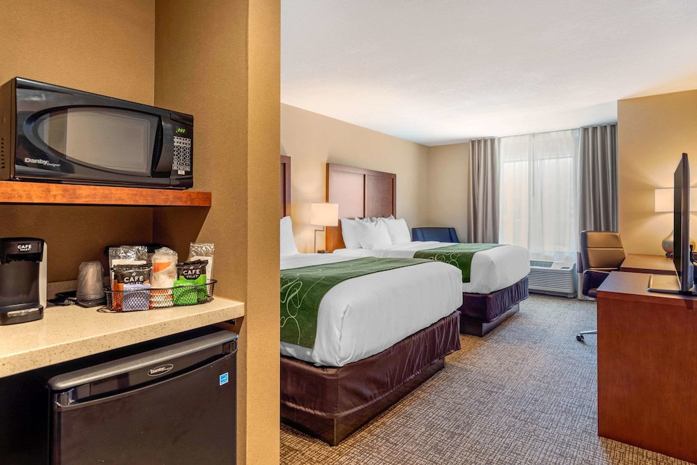 Comfort Inn Suites Schenectady - Scotia 19/44