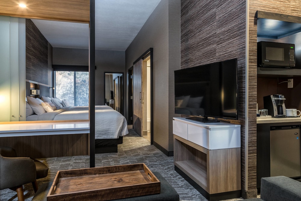 Springhill Suites Springdale Zion National Park 11/52