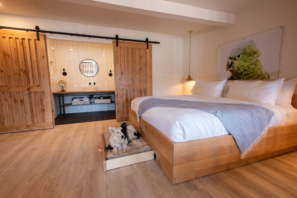 Suite, King Bed