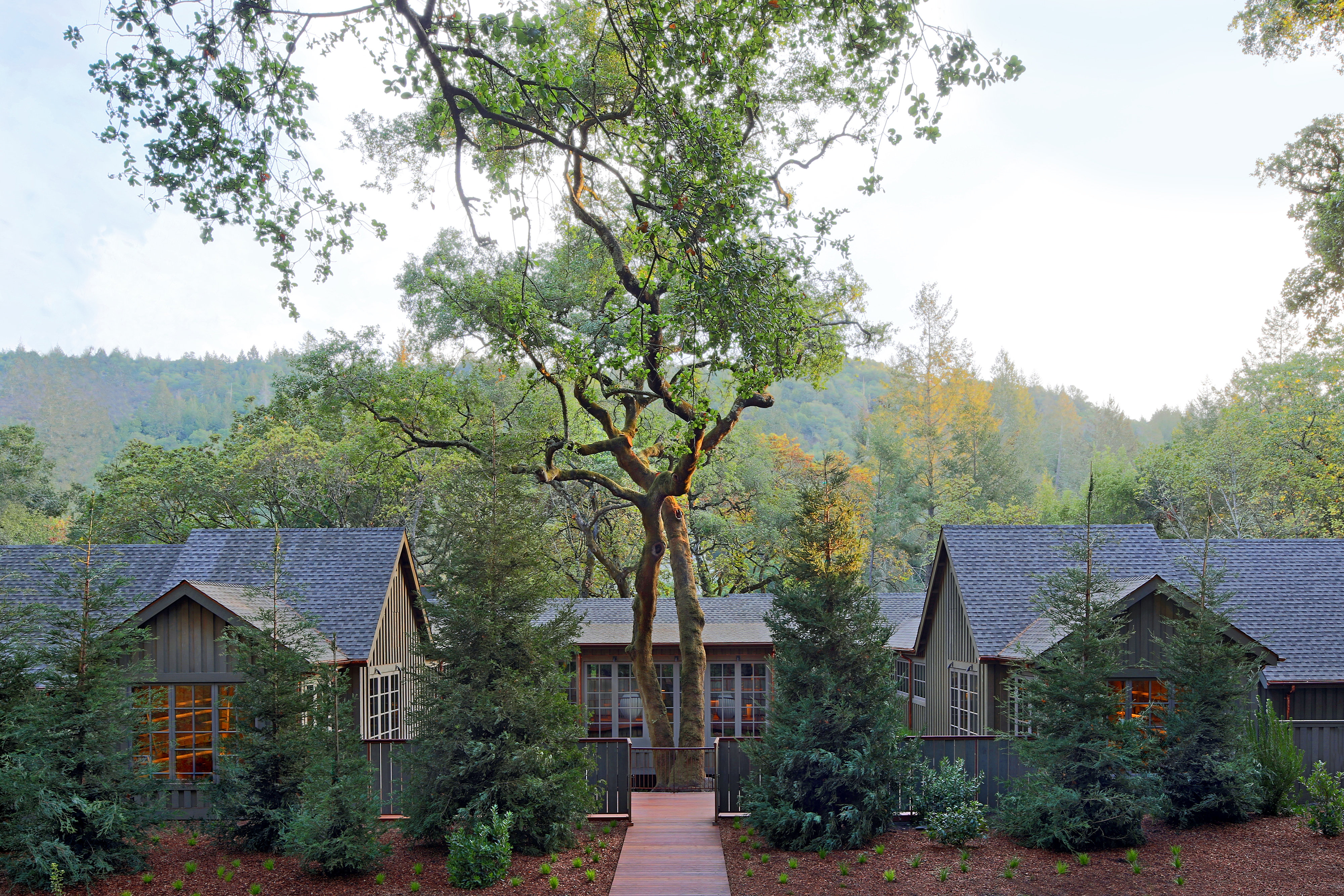 Meadowood Napa Valley 47/50