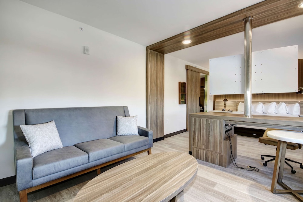 Wyndham Garden Sacramento Airport Natomas 29/45
