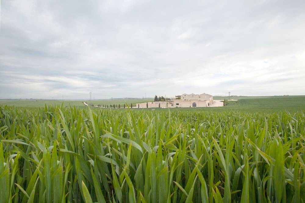 Tenuta Danesi 24/40