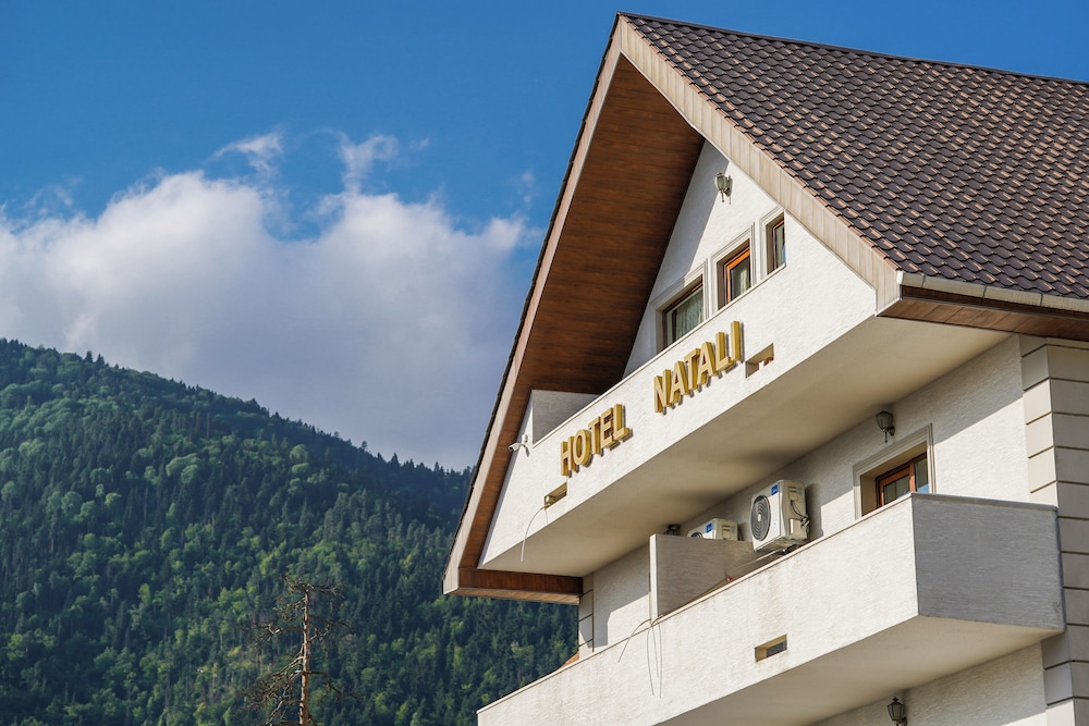 Natali Hotel in BORJOMI