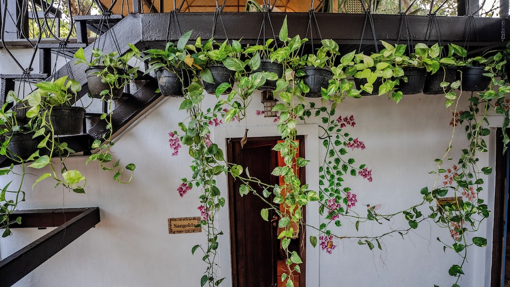 Brij Paraiso Saligao, Goa 79/82