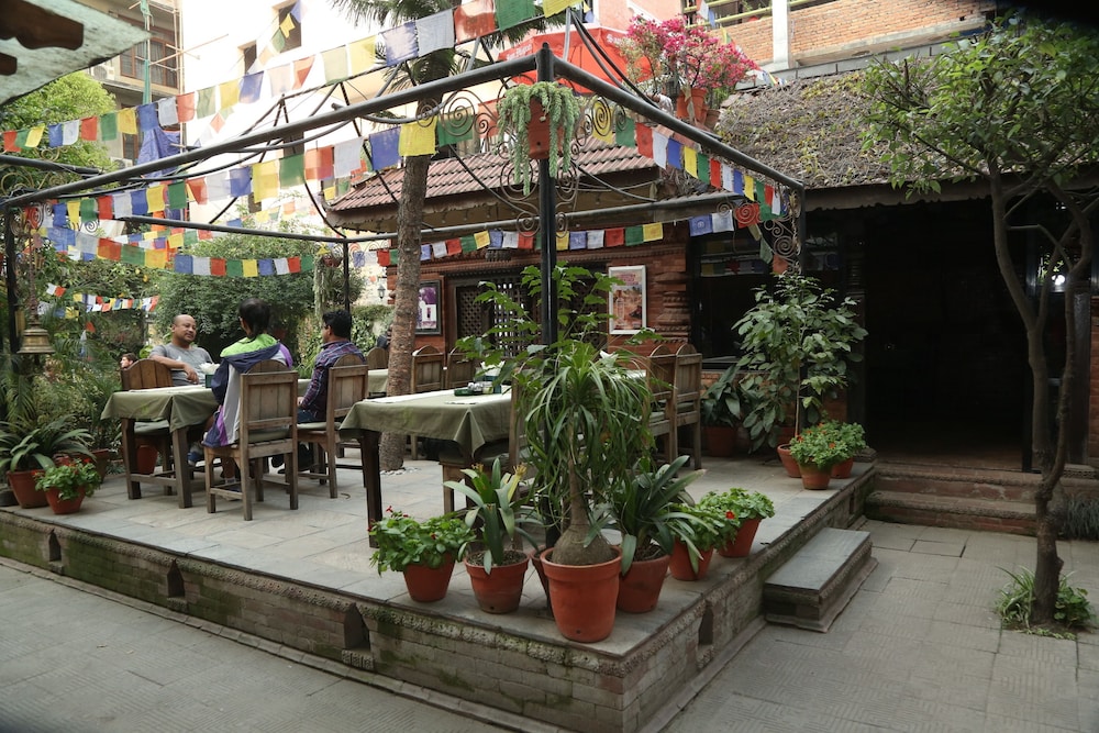 Hotel Himalayan Oasis 10/50