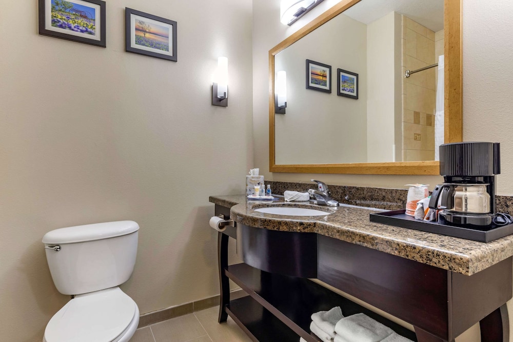 Comfort Inn Suites Near Lake Lewisville 15/43