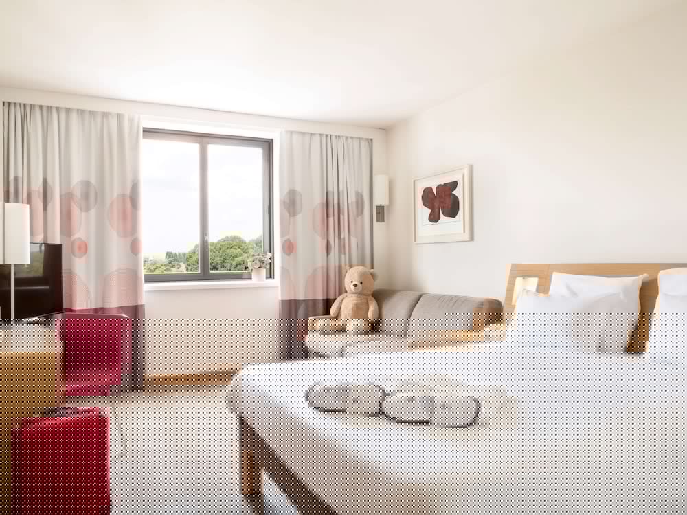 Novotel Paris Roissy CDG Convention 16/71