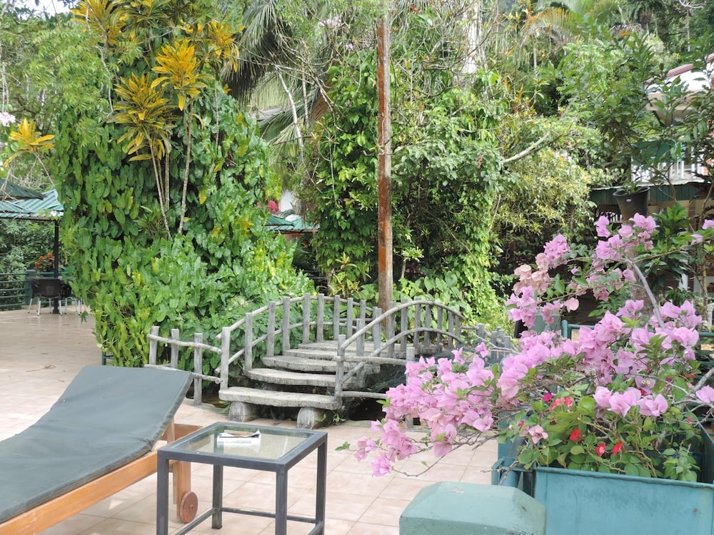 Rainforest Lodge 45/50