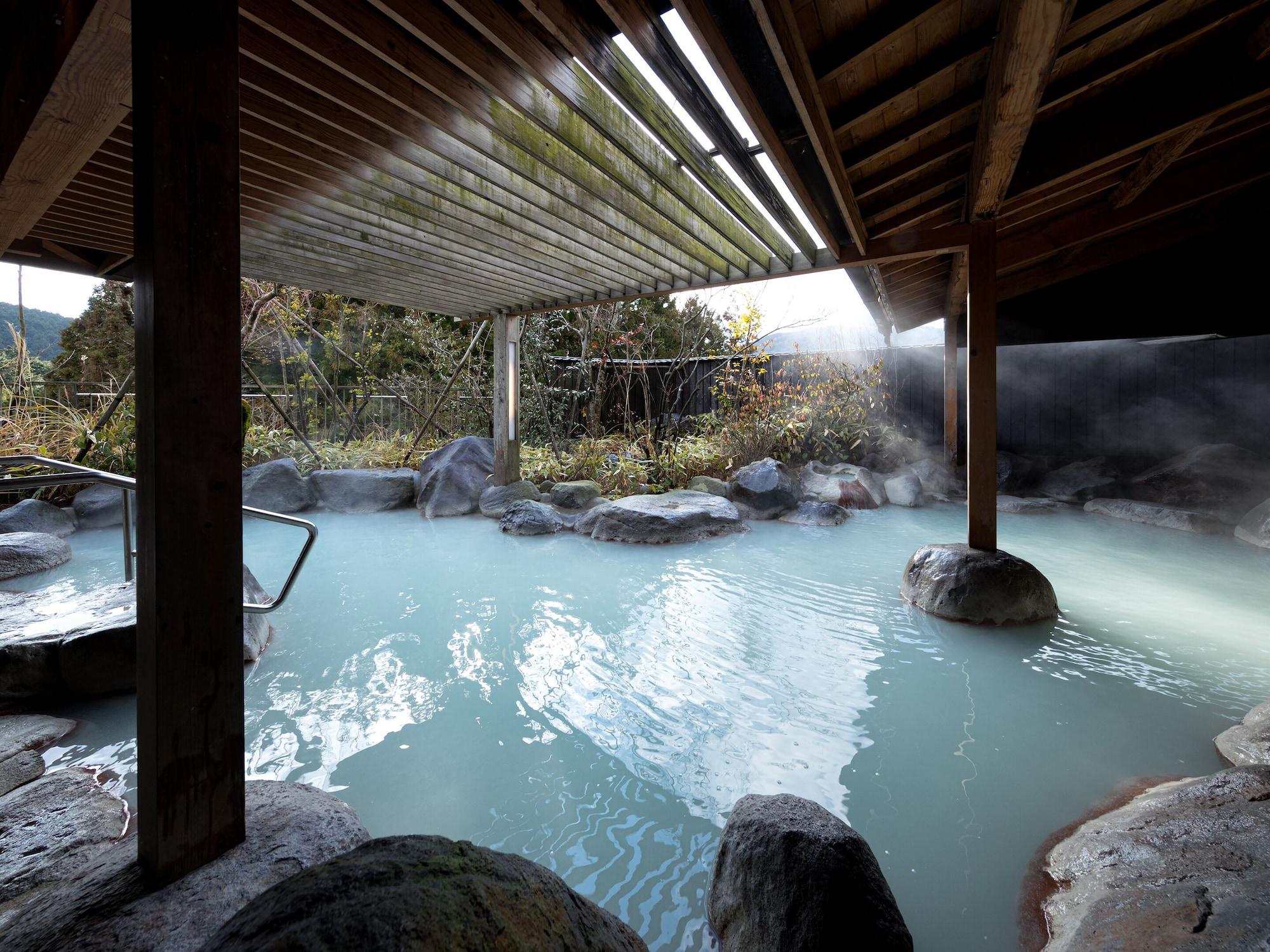Hotel Seiunso 16/50