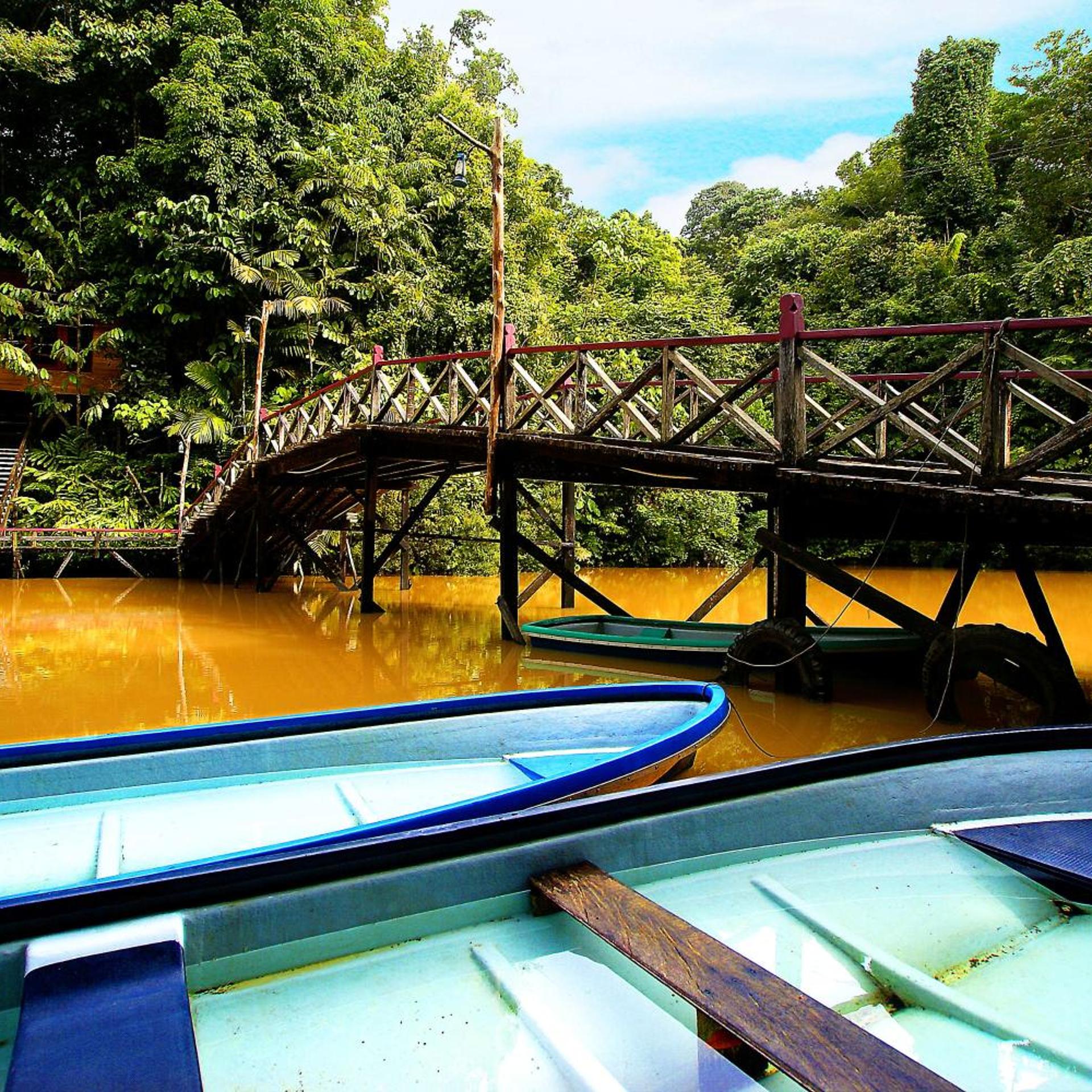 BORNEO TROPICAL RAINFOREST RESORT 31/55