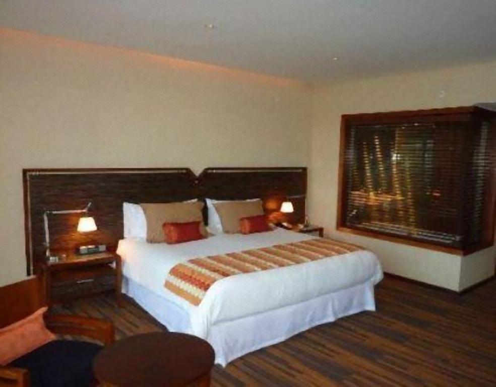 Dreams Araucania 15/51