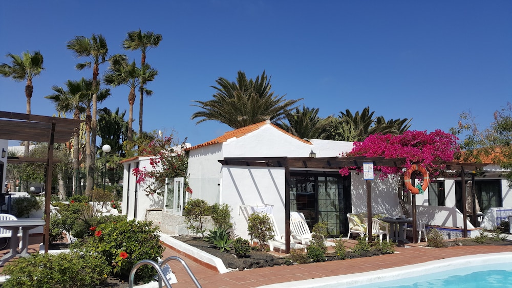 La Concha photo4