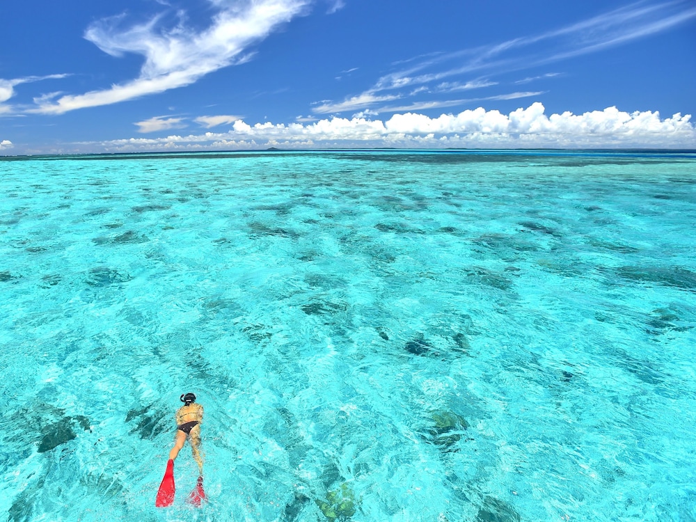 Sea breeze coral 47/53