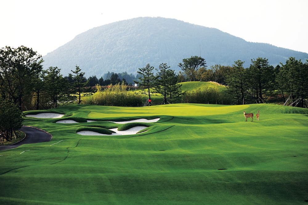 Arden Hill Resort & Golf Club 22/53