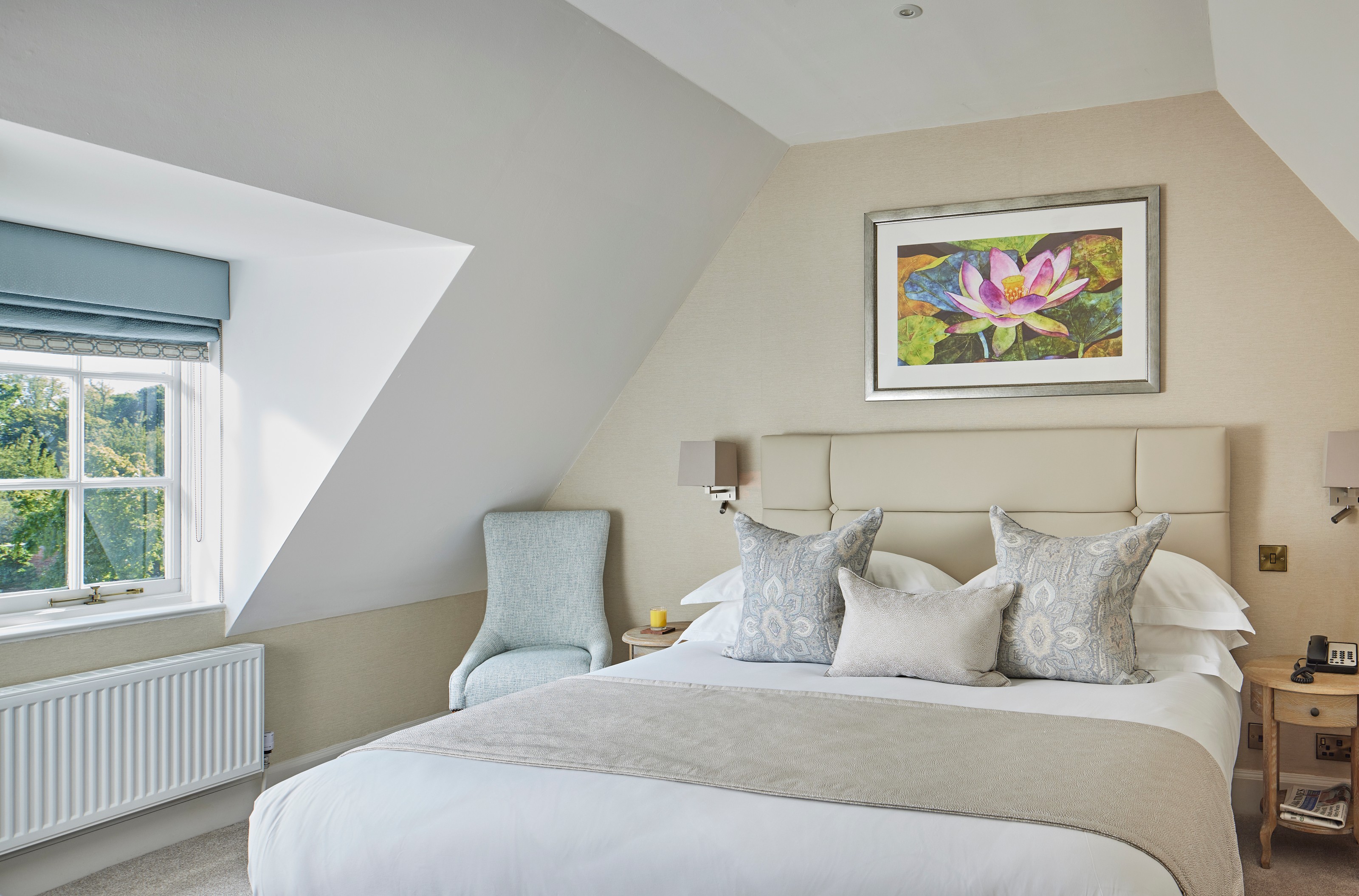 Suite, King Bed