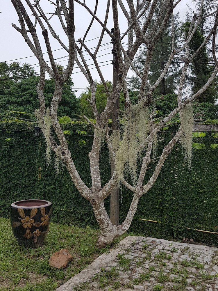 Baan Chai Lay Apartment 16/23