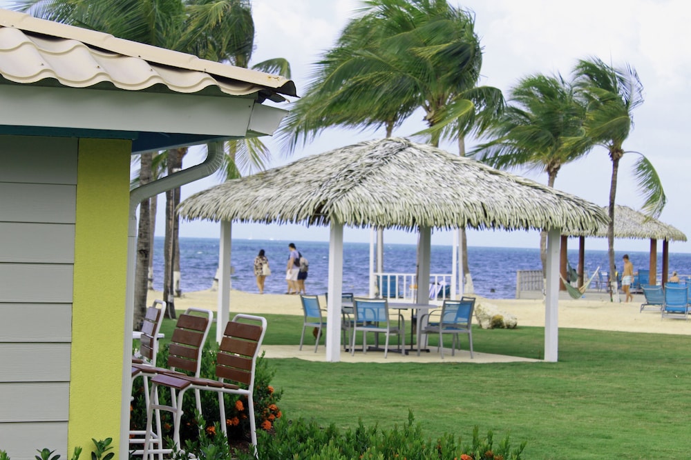 The Grand Caymanian Resort 52/61