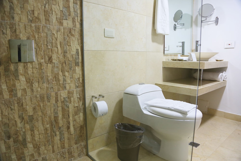Hotel Washington Plaza By Sercotel 29/72