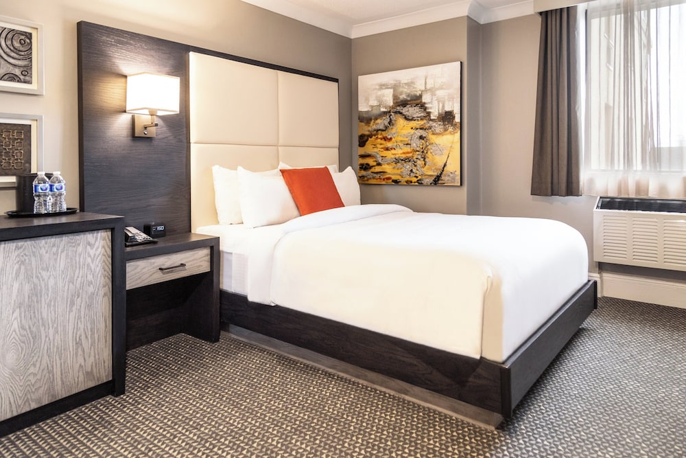 Standard, Single Bed