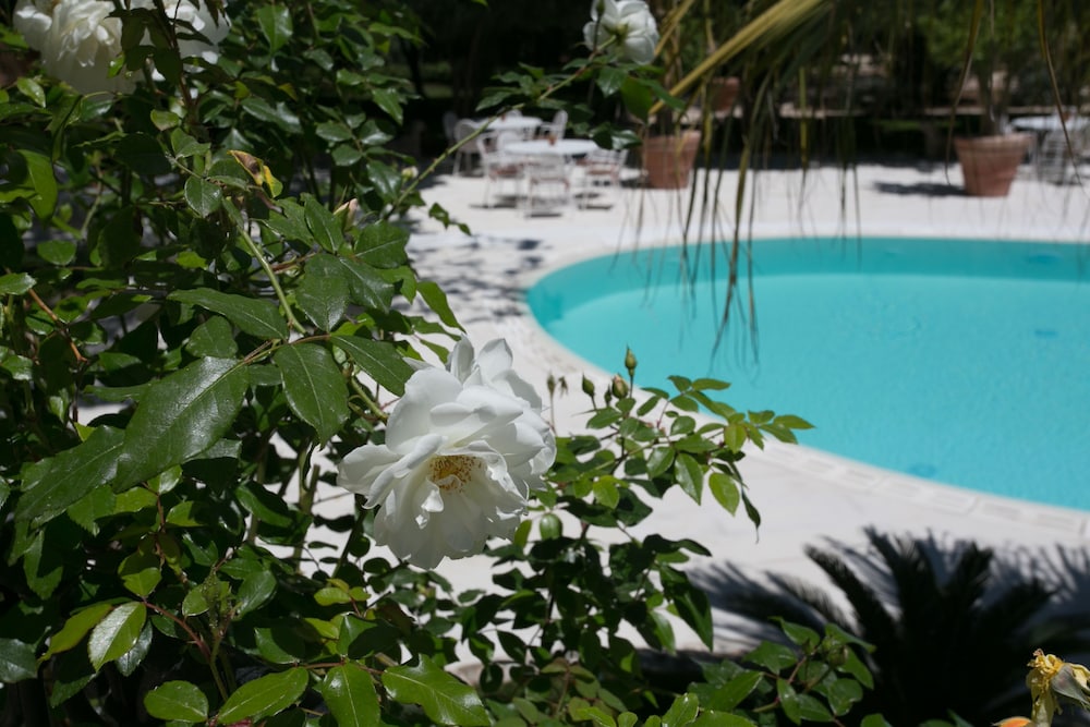Hotel Parco Delle Fontane 56/71