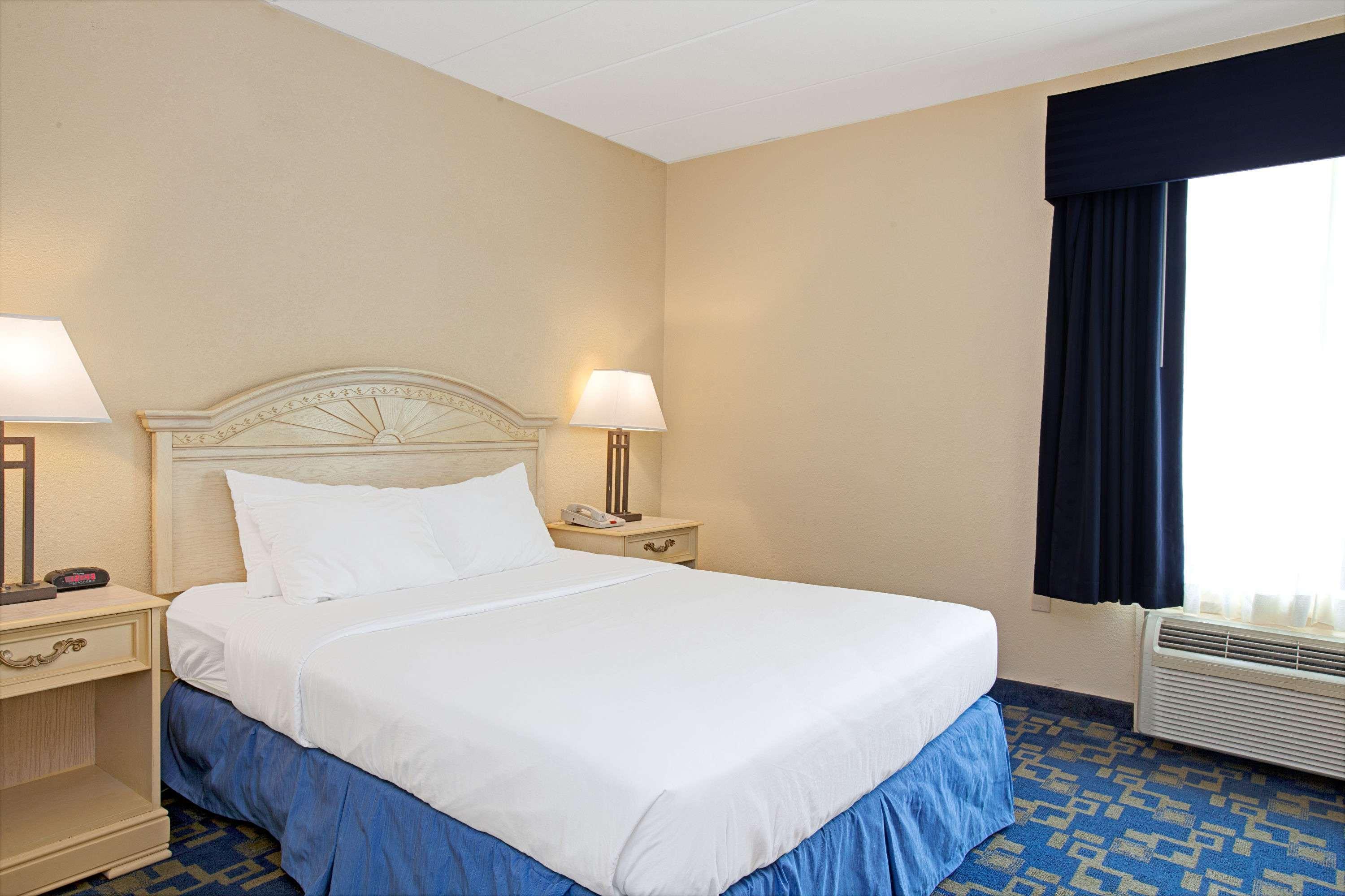 Room, Queen Bed