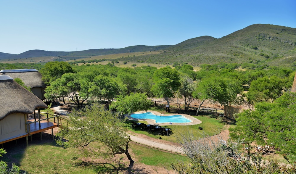 Garden Route Safari Camp 42/50