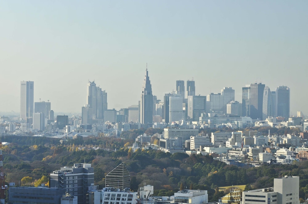 The Capitol Hotel Tokyu 69/74