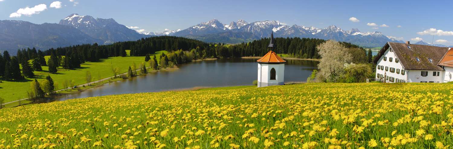 Best Western Plus Hotel Fuessen 44/59