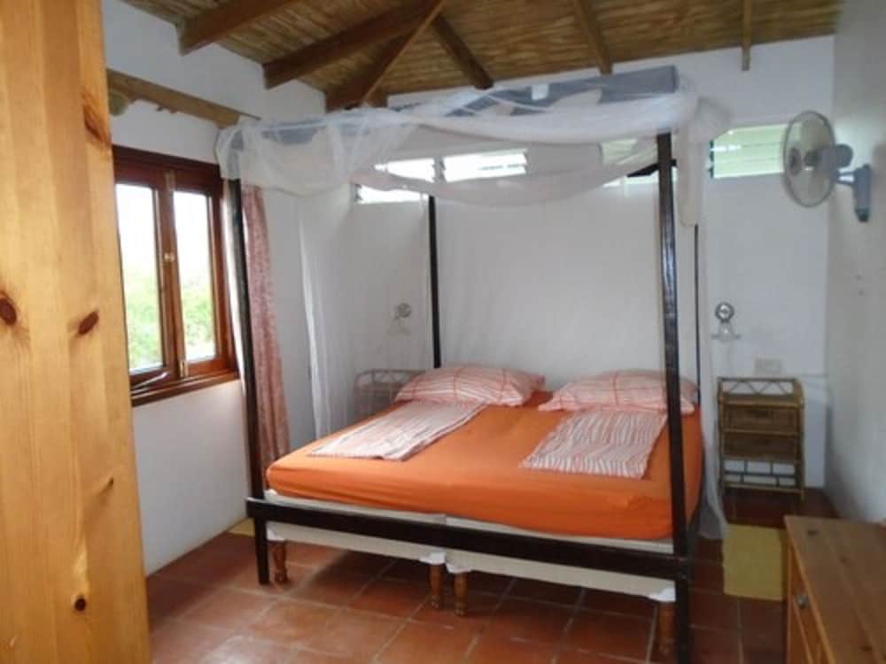 2 Bedrooms, Family, Apartment, Queen Bed, Beach View, Sofa, Kitchen