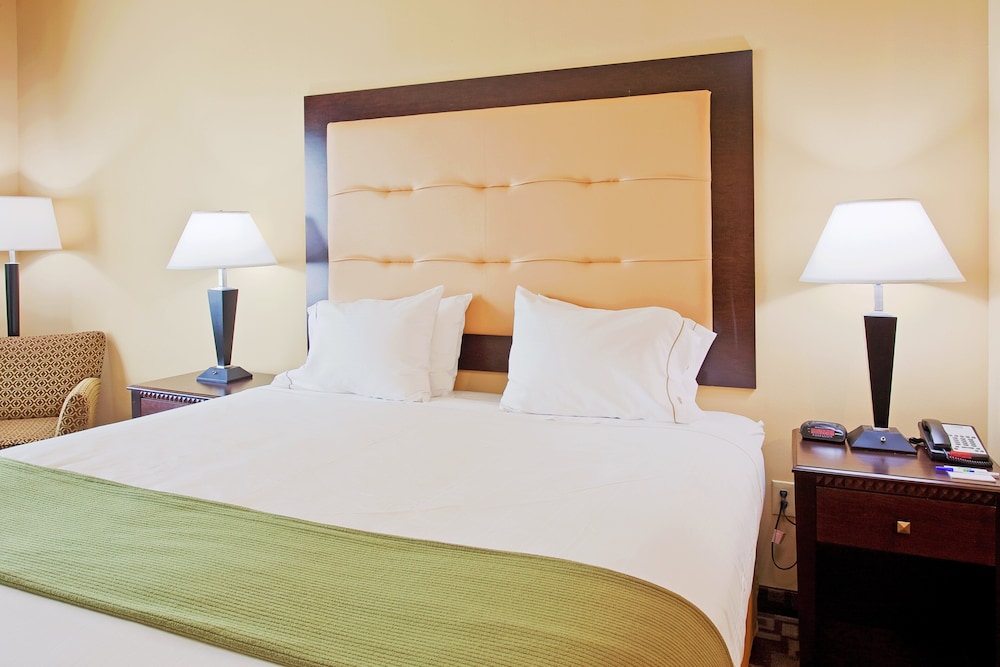 Holiday Inn Express Hotel And Suites Foley 38/75
