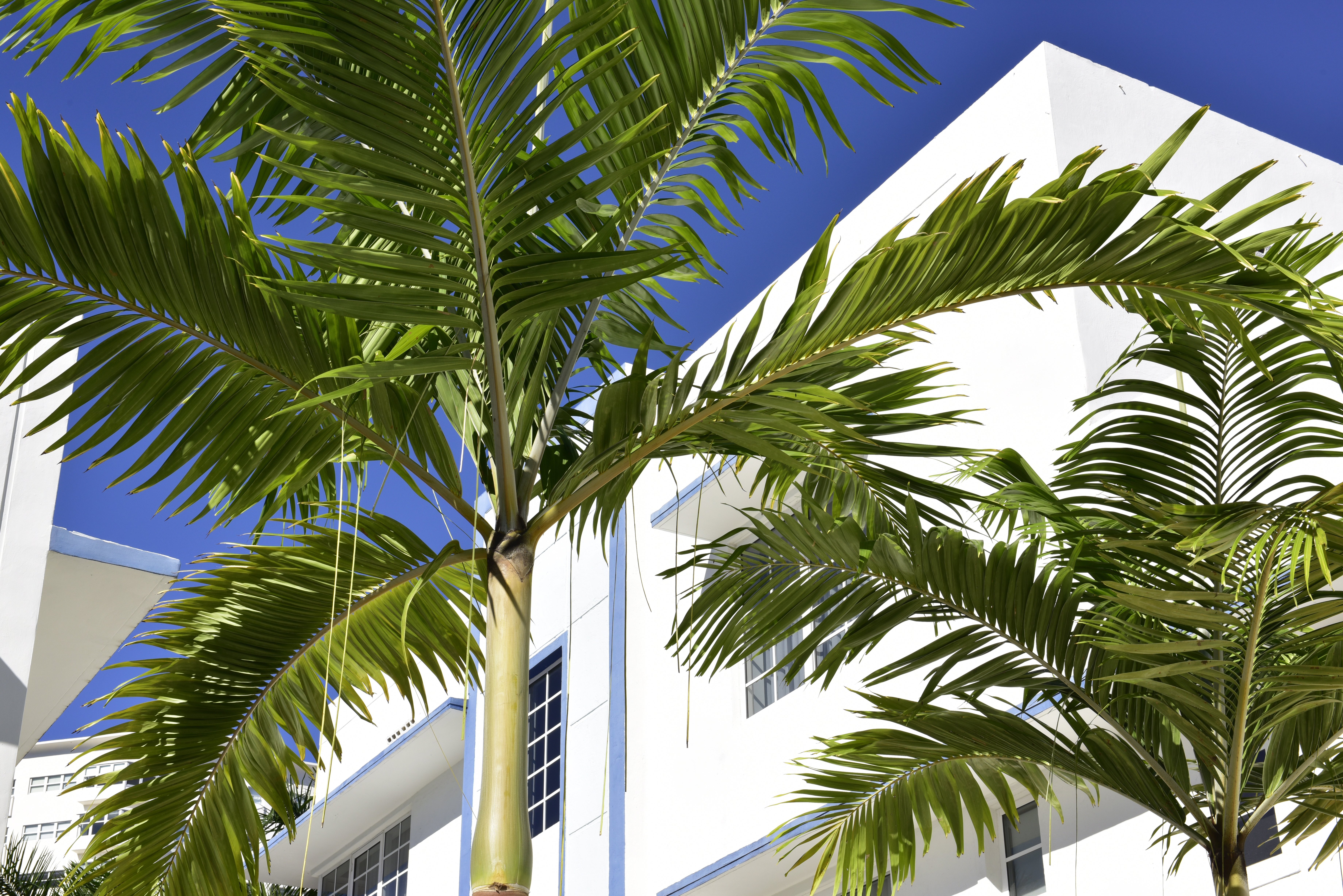 Pestana South Beach Miami 46/50